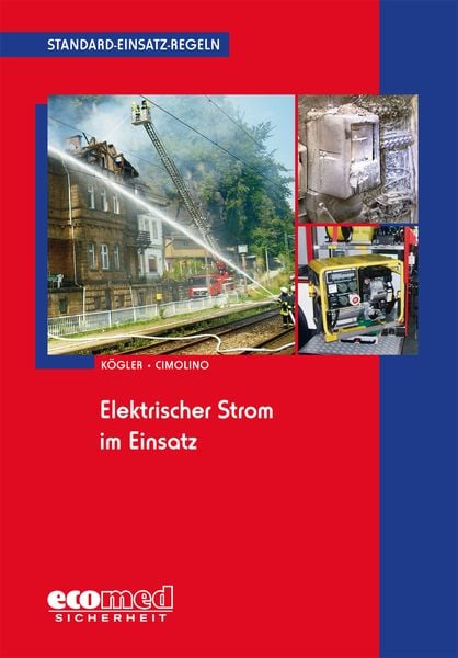 Produktbild: Standard-Einsatz-Regeln: Elektrischer Strom im Einsatz