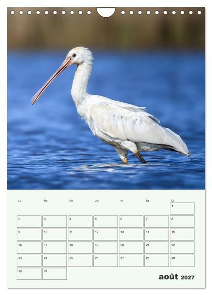 Produktbild: Voyage ornithologique (Calendrier mural 2027 DIN A4 horizontal), CALVENDO calendrier mensuel