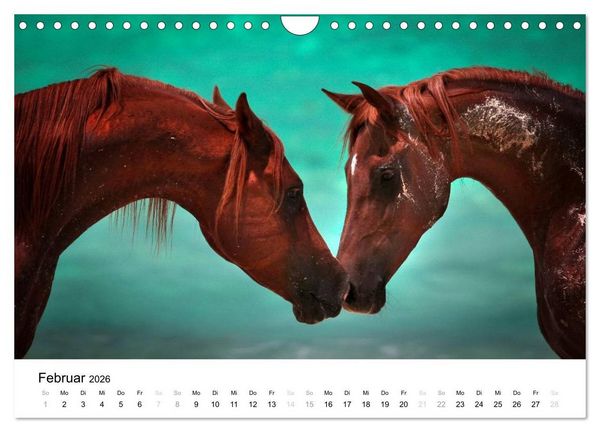 Produktbild: Pferde - Magdalena Strakova (Wandkalender 2026 DIN A4 quer), CALVENDO Monatskalender