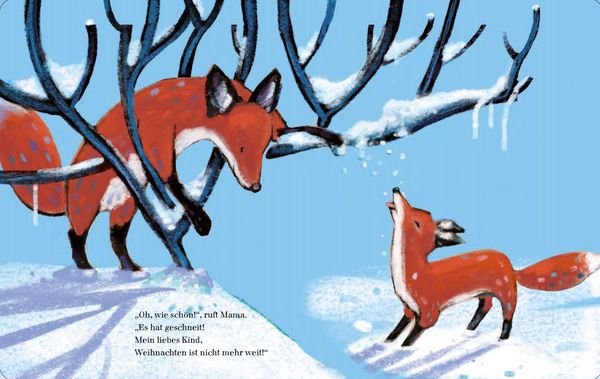Produktbild: Freu dich aufs Christkind, kleiner Fuchs!