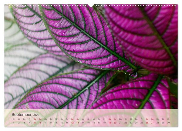 Produktbild: Bekanntes und Unbekanntes Costa Rica (hochwertiger Premium Wandkalender 2026 DIN A2 quer), Kunstdruck in Hochglanz
