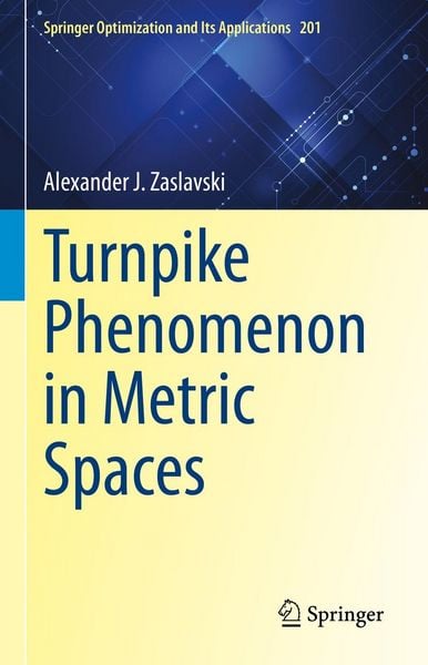 Produktbild: Turnpike Phenomenon in Metric Spaces