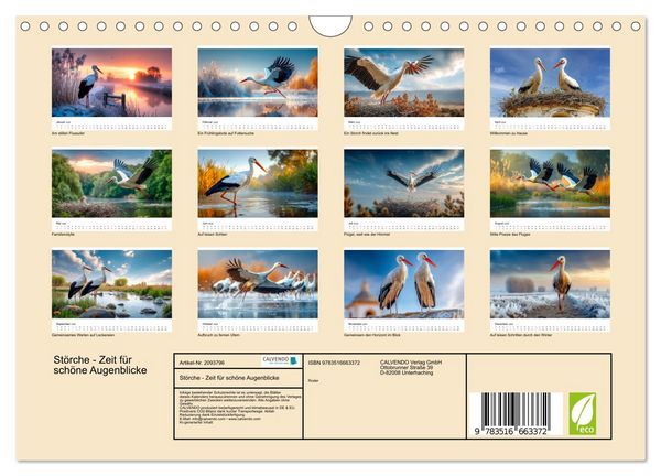 Produktbild: St&ouml;rche - Zeit f&uuml;r sch&ouml;ne Augenblicke (Wandkalender 2026 DIN A4 quer), CALVENDO Monatskalender
