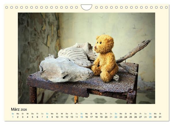 Produktbild: Herr B&auml;r urban explorer (Wandkalender 2026 DIN A4 quer), CALVENDO Monatskalender