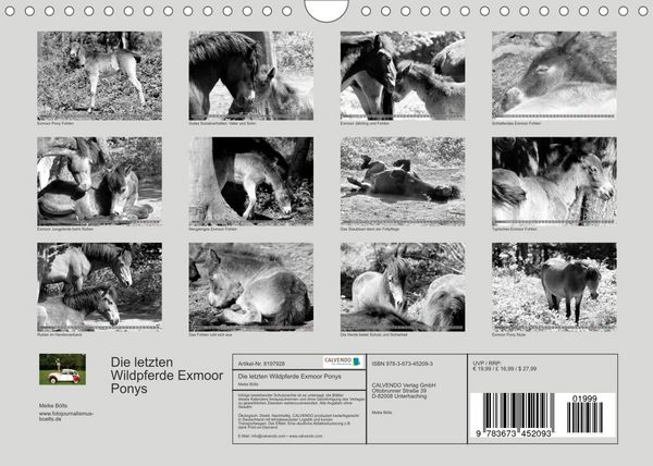 Produktbild: Die letzten Wildpferde Exmoor Ponys (Wandkalender 2022 DIN A4 quer)