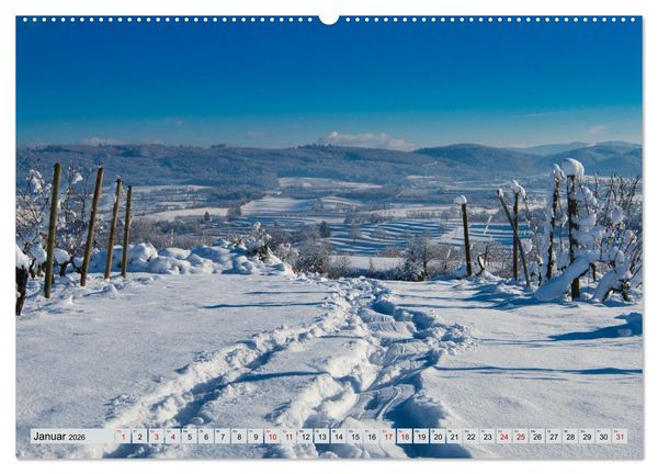 Produktbild: Weinregion Kaiserstuhl (hochwertiger Premium Wandkalender 2026 DIN A2 quer), Kunstdruck in Hochglanz