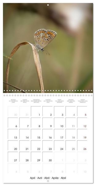Produktbild: Blt, S: Esp&egrave;ces de Nouvelle Aquitaine (Calendrier mural carr