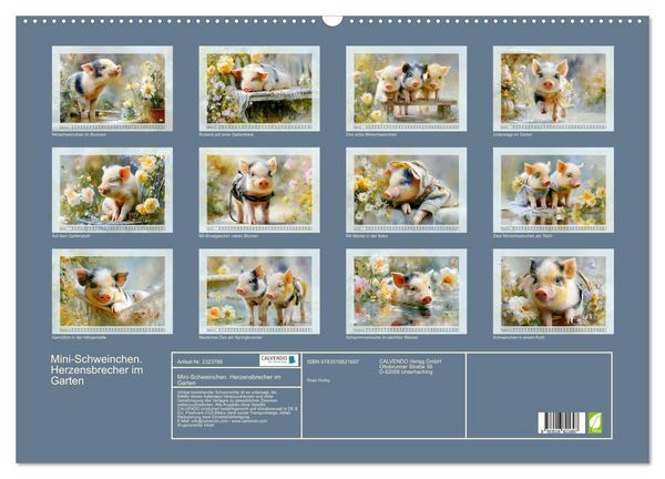 Produktbild: Mini-Schweinchen. Herzensbrecher im Garten (Wandkalender 2027 DIN A2 quer), CALVENDO Monatskalender