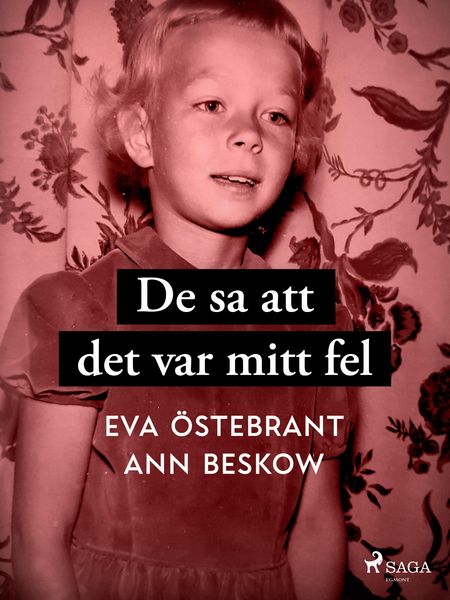 Produktbild: De sa att det var mitt fel