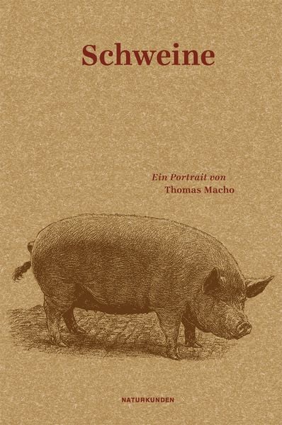Produktbild: Schweine