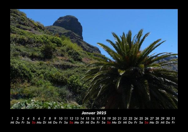 Produktbild: Palmentraum 2025 Fotokalender DIN A3