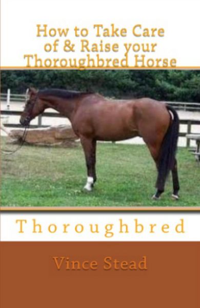 Produktbild: How to Take Care of & Raise your Thoroughbred Horse