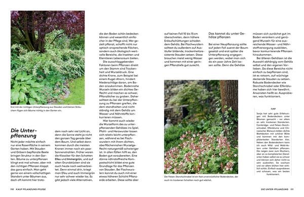Produktbild: Kleine B&auml;ume f&uuml;r den Garten