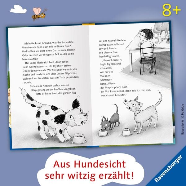 Produktbild: 3 Streuner werden Filmstars