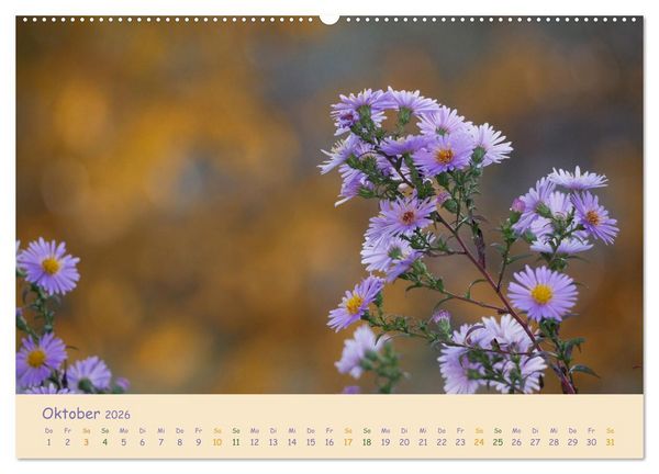 Produktbild: Naturwunder Bl&uuml;ten (hochwertiger Premium Wandkalender 2026 DIN A2 quer), Kunstdruck in Hochglanz