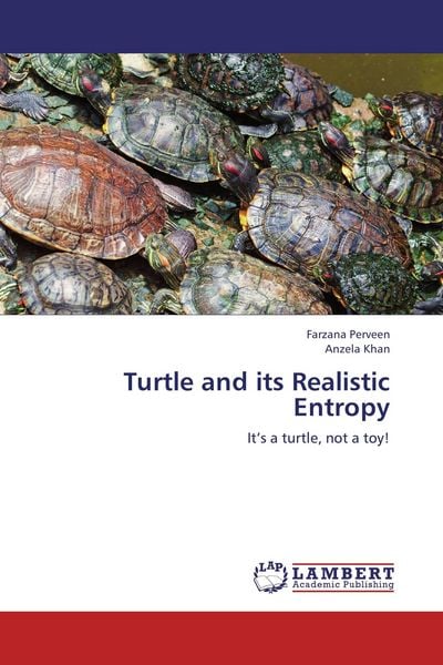 Produktbild: Turtle and its Realistic Entropy