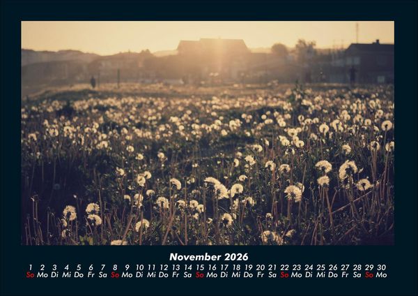 Produktbild: Blumenkalender 2026 Fotokalender DIN A4