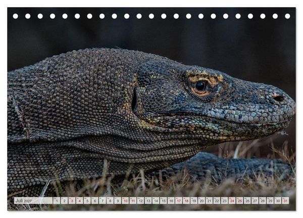 Produktbild: Drachen: Geheimnisvolles Tierreich (Tischkalender 2027 DIN A5 quer), CALVENDO Monatskalender