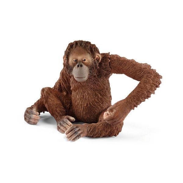 Produktbild: schleich&reg; 14775 Orang-Utan Weibchen