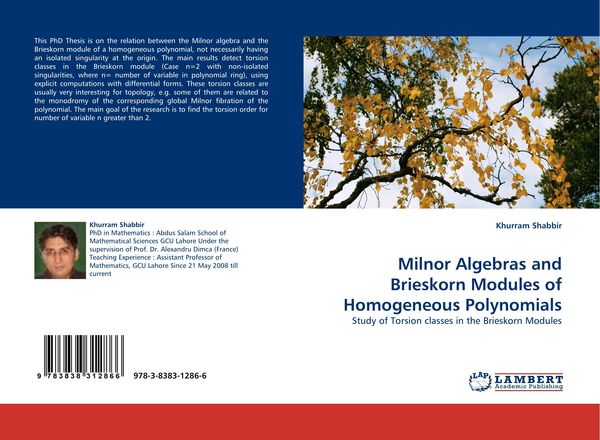 Produktbild: Milnor Algebras and Brieskorn Modules of Homogeneous Polynomials