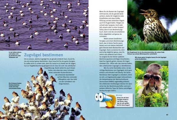 Produktbild: Entdecke die Zugv&ouml;gel