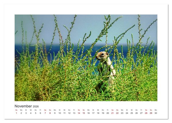 Produktbild: Fuerteventura - Bildsch&ouml;n (Tischkalender 2026 DIN A5 quer), CALVENDO Monatskalender