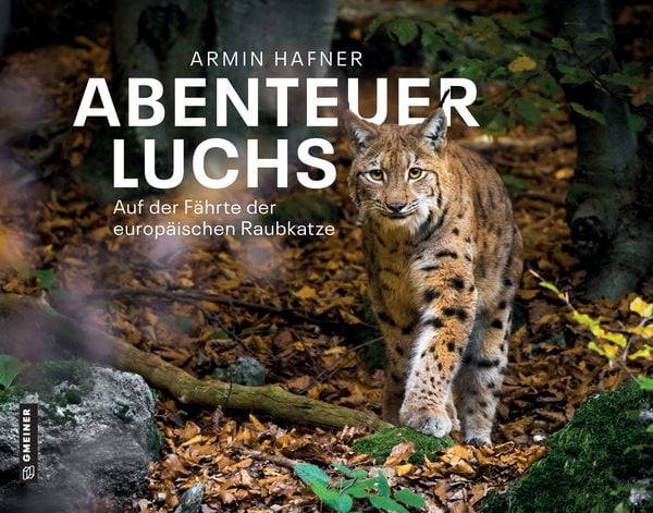 Abenteuer Luchs, Gebundene Ausgabe von Armin Hafner, Gmeiner-Verlag, 9783839203217