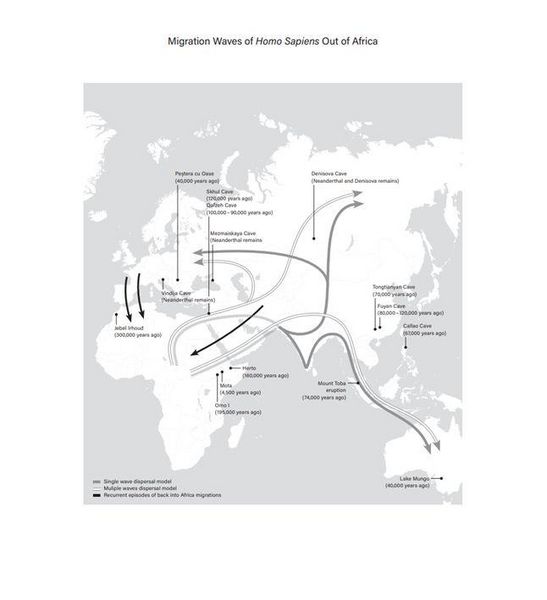 Produktbild: The True Size of Africa