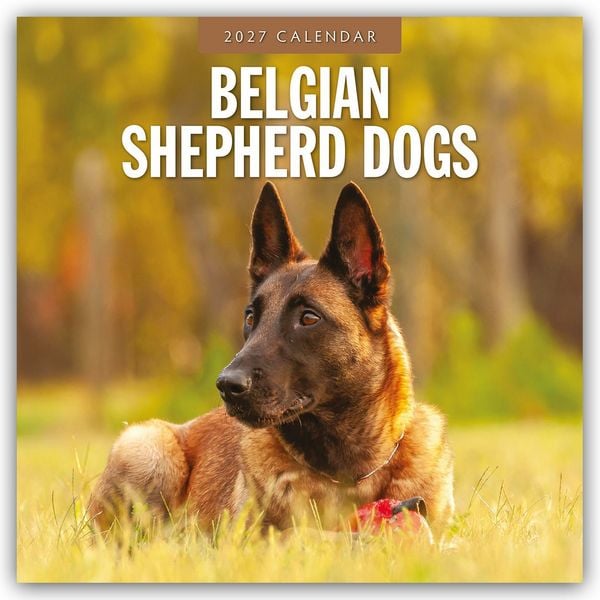 Produktbild: Belgian Shepherd &ndash; Belgischer Sch&auml;ferhund 2027 &ndash; 16-Monatskalender