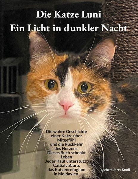 Produktbild: Die Katze Luni - Ein Licht in dunkler Nacht