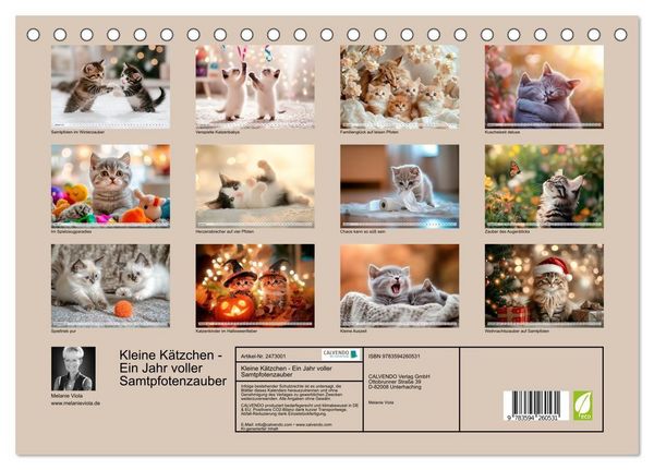 Produktbild: Kleine K&auml;tzchen - Ein Jahr voller Samtpfotenzauber (Tischkalender 2027 DIN A5 quer), CALVENDO Monatskalender