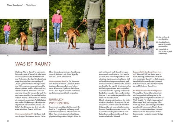 Produktbild: Raumdenken&reg; in der Hundeerziehung
