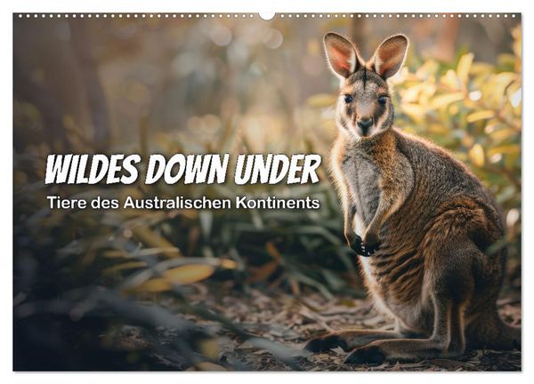 Produktbild: Wildes Down Under: Tiere des Australischen Kontinents (Wandkalender 2026 DIN A2 quer), CALVENDO Monatskalender