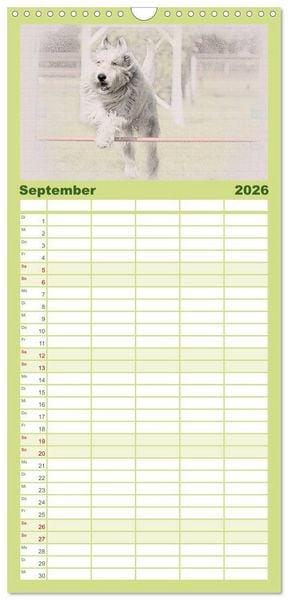 Produktbild: Familienplaner 2026 - Franz&ouml;sische Hirtenhunde 2026 mit 5 Spalten (Wandkalender, 21 x 45 cm) CALVENDO