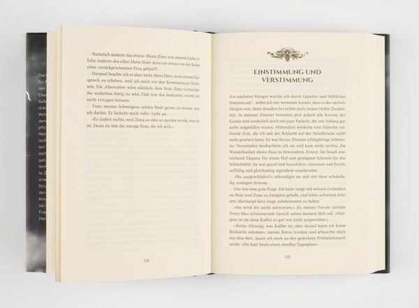 Produktbild: Cassardim 2: Jenseits der Schwarzen Treppe