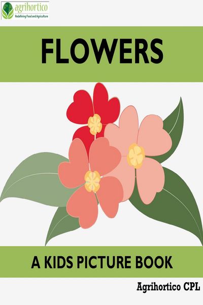 Produktbild: Flowers: A Kids Picture Book