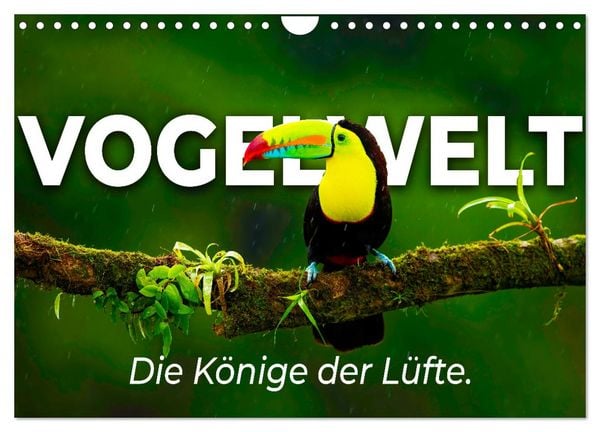 Vogelwelt - Die Könige der Lüfte. (Wandkalender 2026 DIN A4 quer), CALVENDO Monatskalender