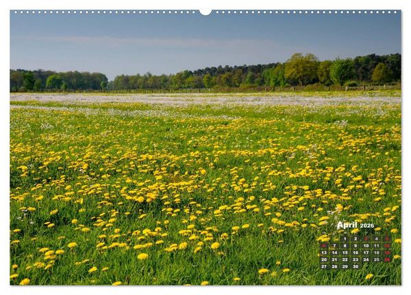 Produktbild: Die Dingdener Heide im Wandel der Jahreszeiten (Wandkalender 2026 DIN A2 quer), CALVENDO Monatskalender