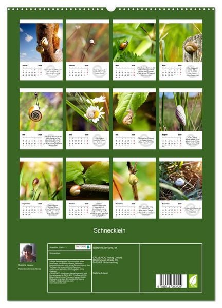 Produktbild: Schnecklein (hochwertiger Premium Wandkalender 2026 DIN A2 hoch), Kunstdruck in Hochglanz