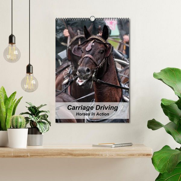 Produktbild: Carriage Driving - Horses in Action (Wall Calendar 2026 DIN A3 portrait), CALVENDO 12 Month Wall Calendar
