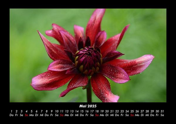 Produktbild: Natur 2025 Fotokalender DIN A3