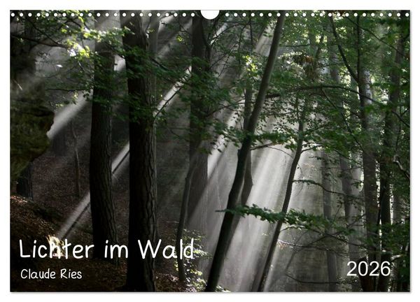 Produktbild: Lichter im Wald (Wandkalender 2026 DIN A3 quer), CALVENDO Monatskalender
