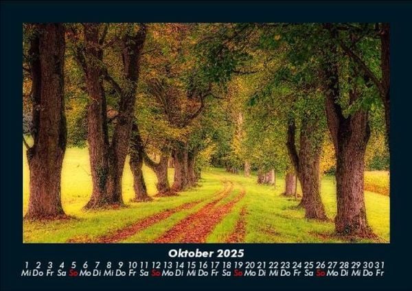 Produktbild: B&auml;ume 2025 Fotokalender DIN A5