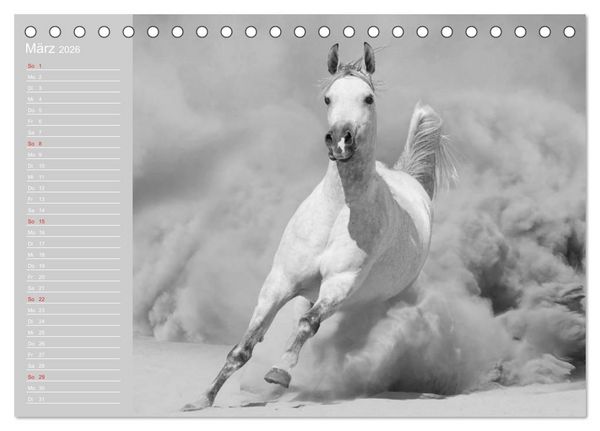Produktbild: Arabische Pferde (Tischkalender 2026 DIN A5 quer), CALVENDO Monatskalender