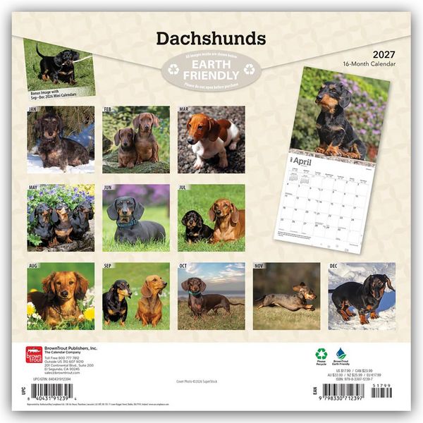 Produktbild: Dachshunds &ndash; Dackel 2027 &ndash; 16-Monatskalender