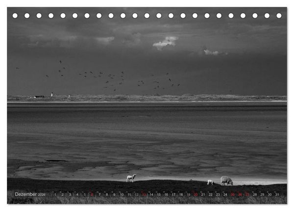 Produktbild: 54&deg;54'57"N 8&deg;19'51"E SYLT (Tischkalender 2026 DIN A5 quer), CALVENDO Monatskalender