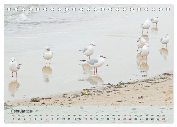 Produktbild: Ostseebad K&uuml;hlungsborn. Erholung mit allen Sinnen (Tischkalender 2026 DIN A5 quer), CALVENDO Monatskalender
