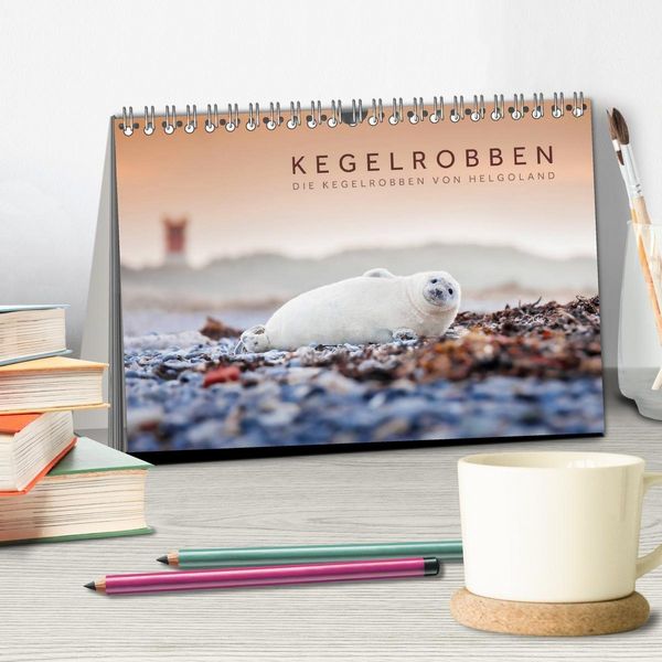 Produktbild: Kegelrobben - Die Kegelrobben von Helgoland (Tischkalender 2027 DIN A5 quer), CALVENDO Monatskalender