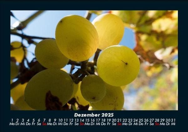 Produktbild: Obstkalender 2025 Fotokalender DIN A5