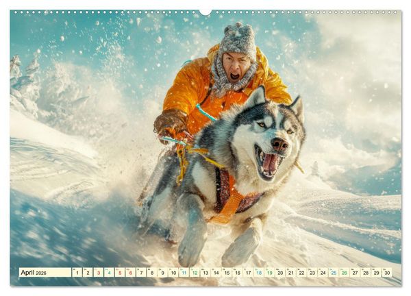 Produktbild: Huskies - Kraft und Anmut (Wandkalender 2026 DIN A2 quer), CALVENDO Monatskalender